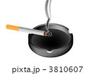 3810607
