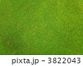 3822043