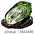 hakusai.ete1220pix.