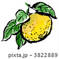yuzu111220pix.