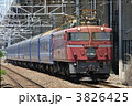 EF81+24系寝台特急「日本海」