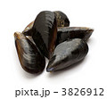 3826912