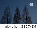 月と樹木