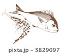 魚・えび