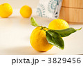 ゆず湯イメージ