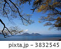 洞爺湖畔の桜
