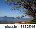 洞爺湖と桜