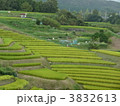 下赤阪の棚田