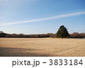立川市　昭和記念公園　秋