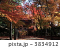 京都　光明寺　もみじ参道