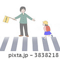 緑のおばさん