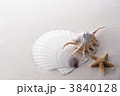 貝