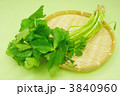 みつば