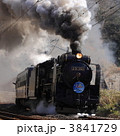 3841729