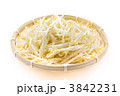 もやし