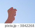 3842268