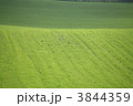 3844359