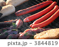 3844819