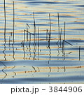 3844906