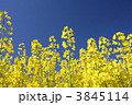 3845114