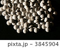 3845904