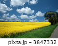 3847332