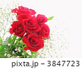 赤い薔薇の花束