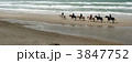 3847752