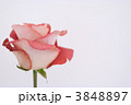 3848897