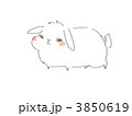 うさぎ