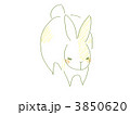 うさぎ
