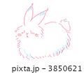 うさぎ