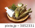 生わさび