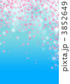 桜舞う
