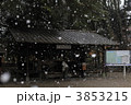 冬の下鴨神社