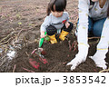 おいもほり