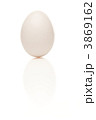 3869162