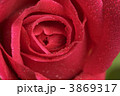 3869317