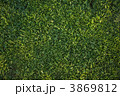3869812