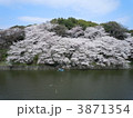 千鳥ヶ淵