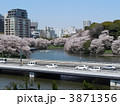 首都高と千鳥ヶ淵