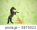 きずな
