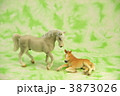 きずな