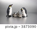 きずな