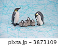 きずな