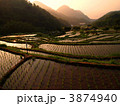 石部の棚田