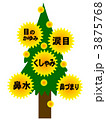 スギと花粉症の症状