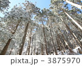 ヒノキ林の霧氷