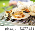 3877181
