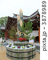 春日神社の門松
